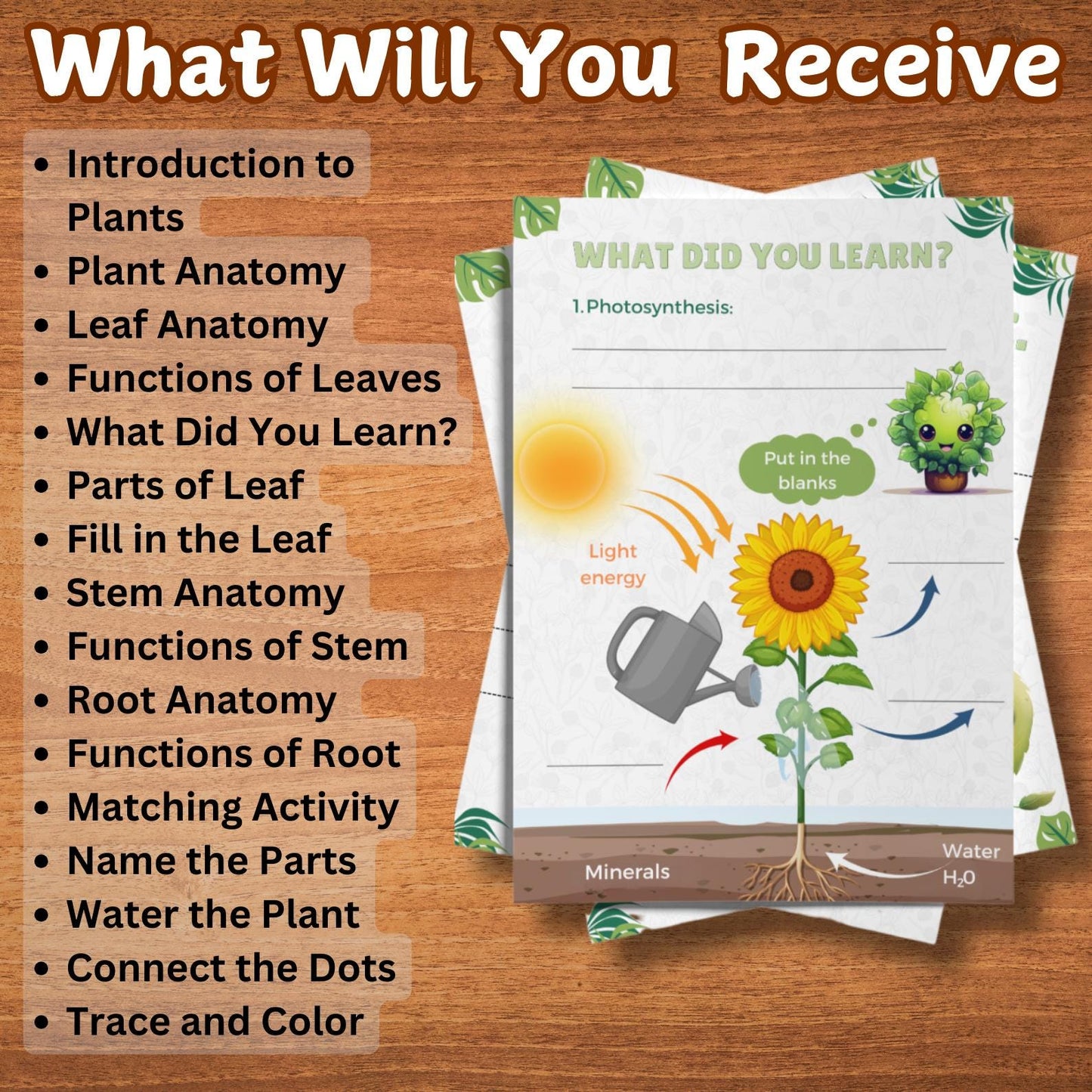 Plant Anatomy Busy Book | 45+ Pages of Printable Worksheets for Kids | Homeschool Curriculum, Learning Activities & Educational Resources