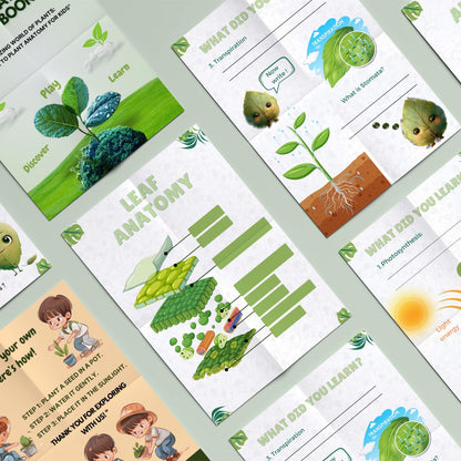 Plant Anatomy Busy Book | 45+ Pages of Printable Worksheets for Kids | Homeschool Curriculum, Learning Activities & Educational Resources