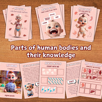 Human Anatomy Busy Book Printable | Preschool Worksheets & Toddler Activities | Homeschool Curriculum and Early Learning Anatomy Resources