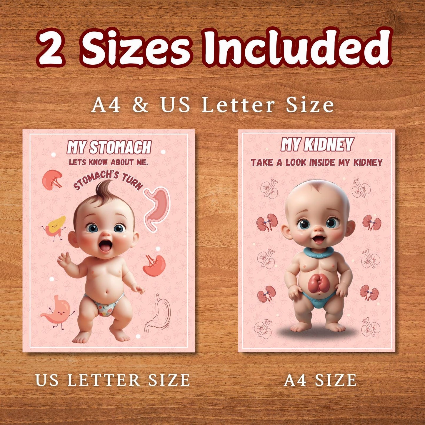 Human Anatomy Busy Book Printable | Preschool Worksheets & Toddler Activities | Homeschool Curriculum and Early Learning Anatomy Resources