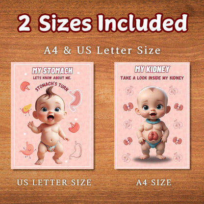 Human Anatomy Busy Book Printable | Preschool Worksheets & Toddler Activities | Homeschool Curriculum and Early Learning Anatomy Resources
