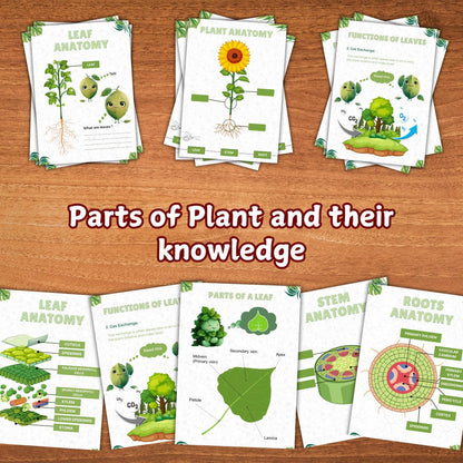 Plant Anatomy Busy Book | 45+ Pages of Printable Worksheets for Kids | Homeschool Curriculum, Learning Activities & Educational Resources