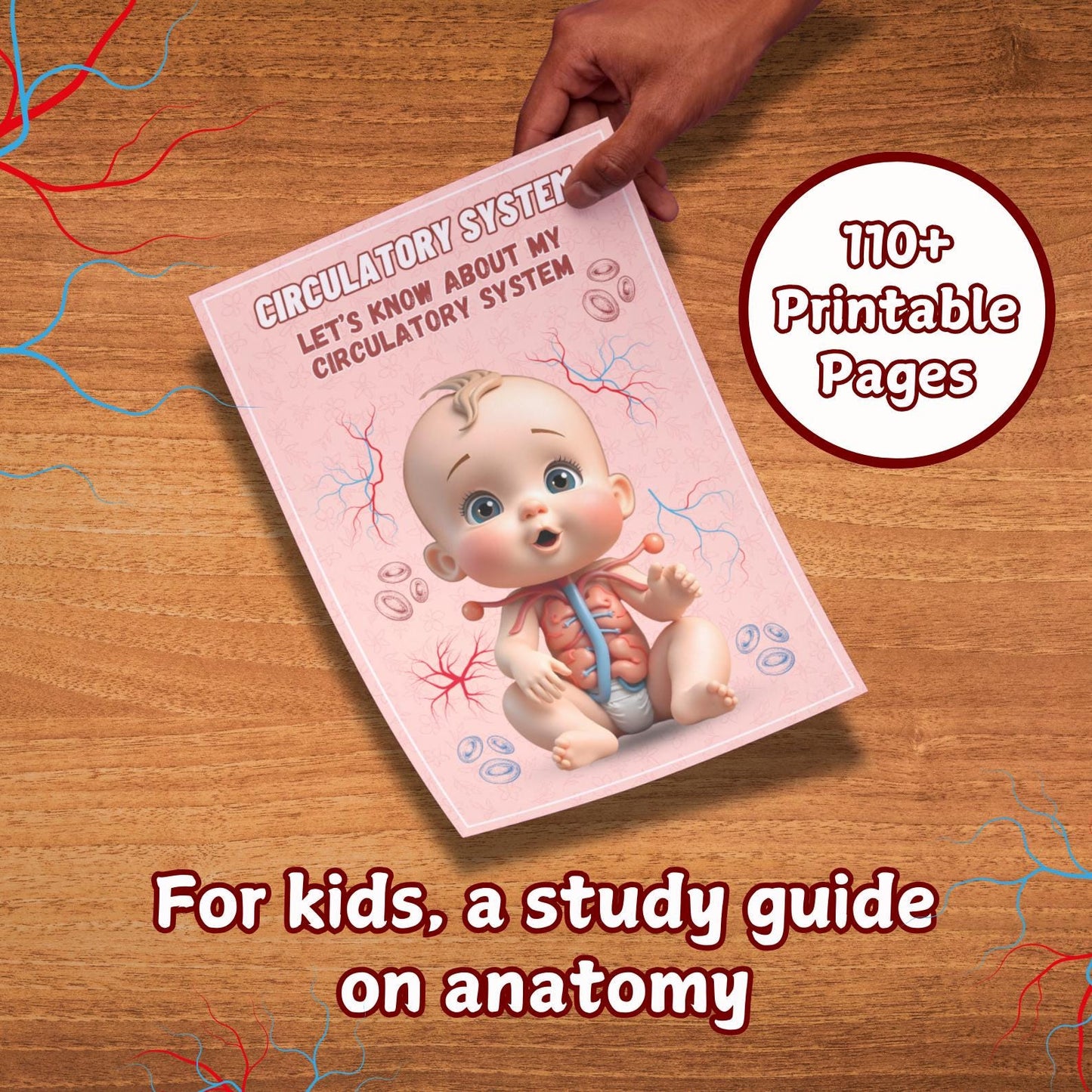 Human Anatomy Busy Book Printable | Preschool Worksheets & Toddler Activities | Homeschool Curriculum and Early Learning Anatomy Resources