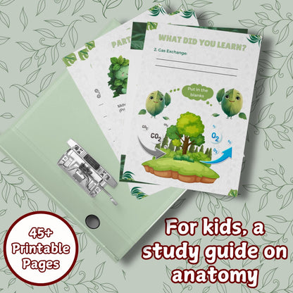 Plant Anatomy Busy Book | 45+ Pages of Printable Worksheets for Kids | Homeschool Curriculum, Learning Activities & Educational Resources