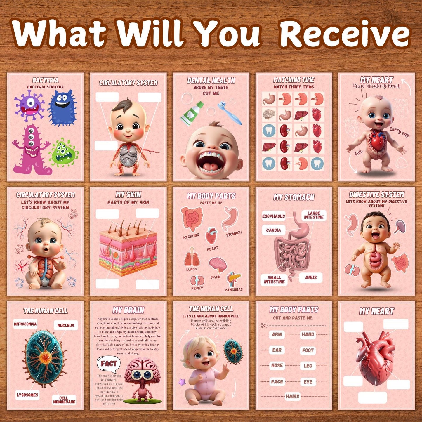 Human Anatomy Busy Book Printable | Preschool Worksheets & Toddler Activities | Homeschool Curriculum and Early Learning Anatomy Resources