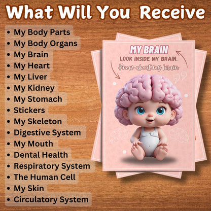 Human Anatomy Busy Book Printable | Preschool Worksheets & Toddler Activities | Homeschool Curriculum and Early Learning Anatomy Resources
