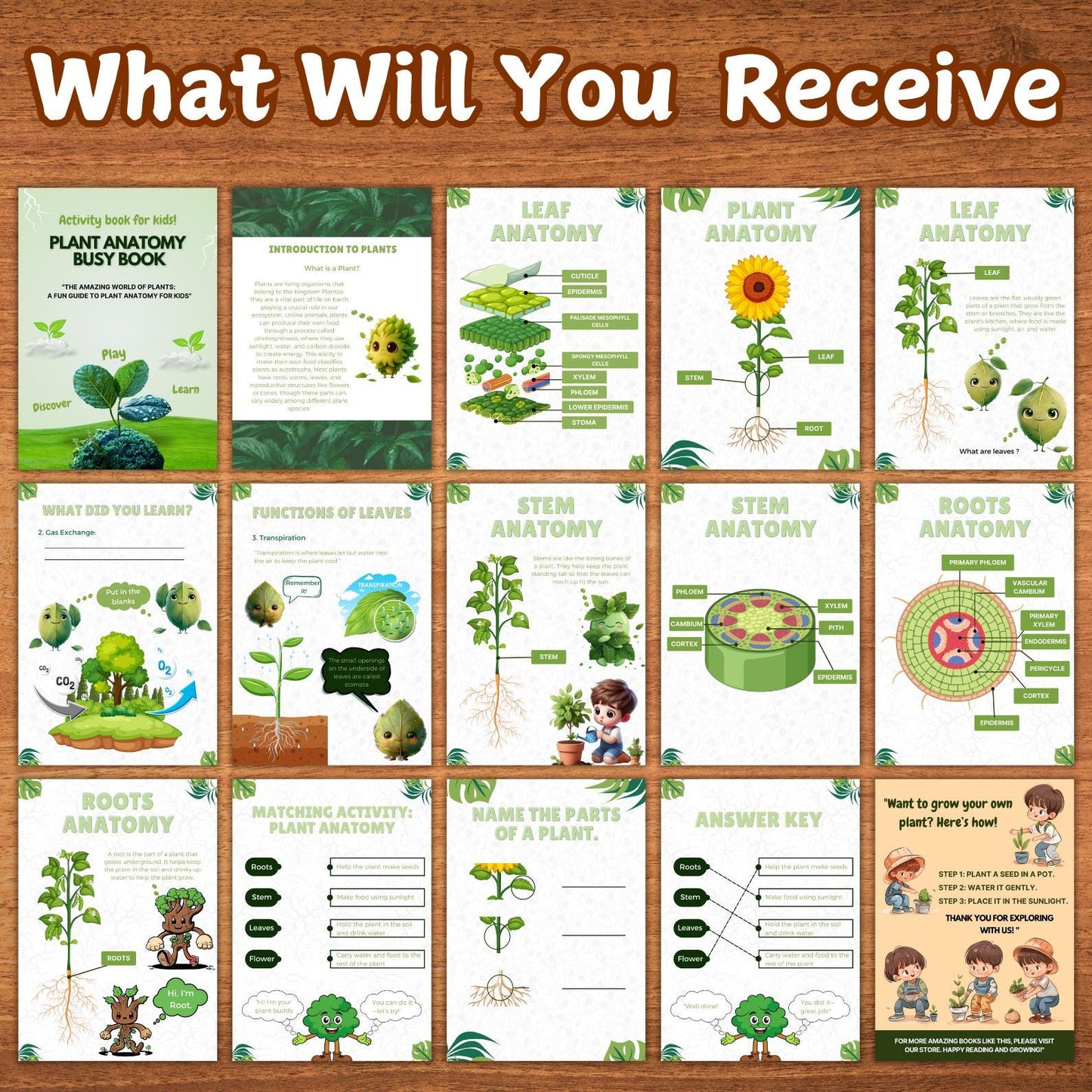 Plant Anatomy Busy Book | 45+ Pages of Printable Worksheets for Kids | Homeschool Curriculum, Learning Activities & Educational Resources