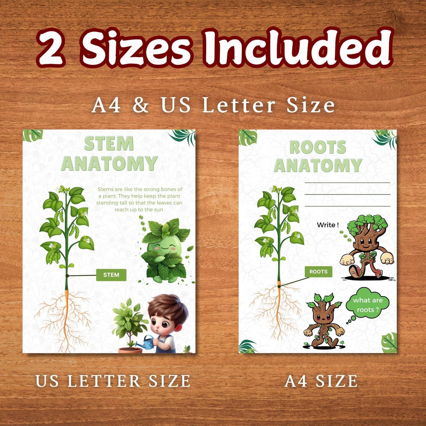 Plant Anatomy Busy Book | 45+ Pages of Printable Worksheets for Kids | Homeschool Curriculum, Learning Activities & Educational Resources