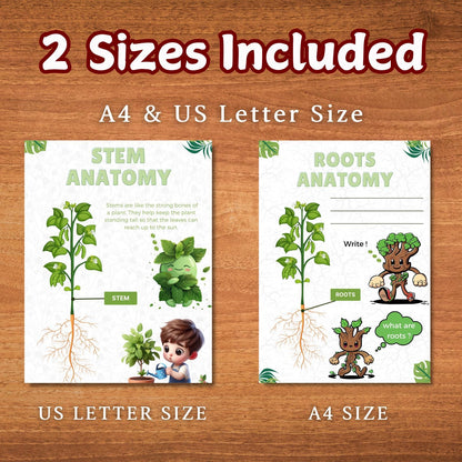 Plant Anatomy Busy Book | 45+ Pages of Printable Worksheets for Kids | Homeschool Curriculum, Learning Activities & Educational Resources